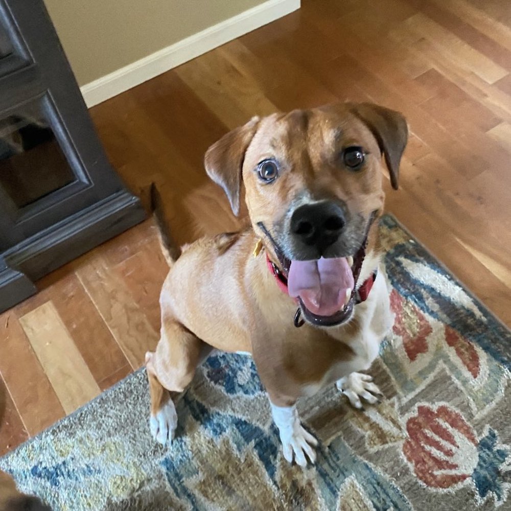 Meet your Posher, Sherry